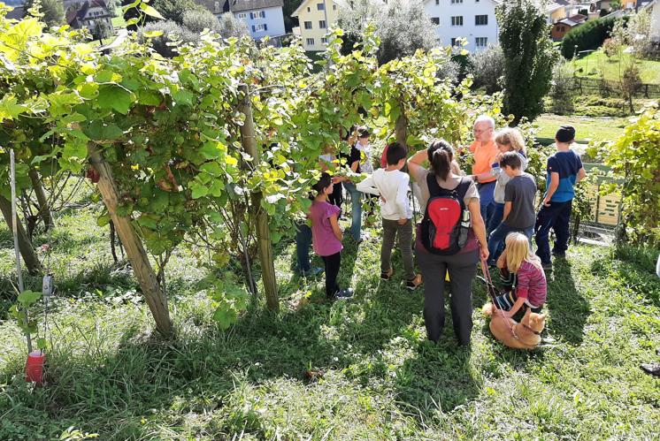 «Wir können süsse Früchte sein»