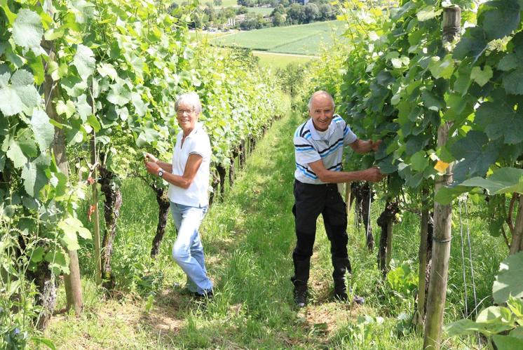 «Wie ein guter Rotwein»