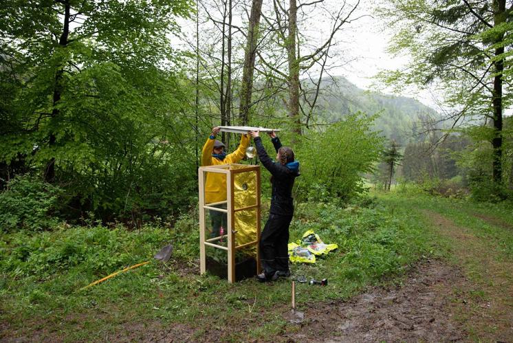 «Göttliche Landschaft» eröffnet