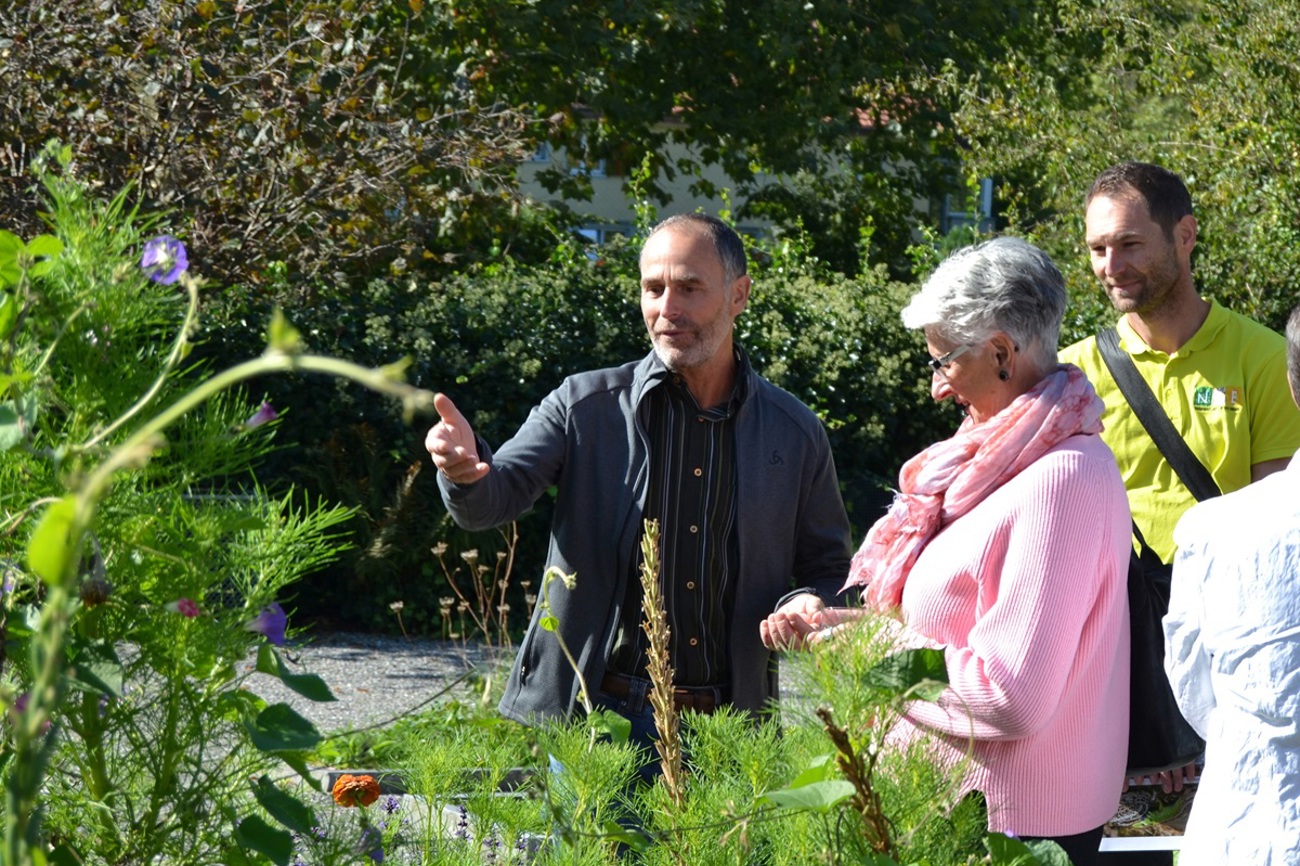 «SchöpfungsZeit»-Gottesdienst 2023: Besucherinnen und Besucher entdecken die Biodiversität auf dem Friedhof bei der Kirche in Egnach. (Bild: pd)